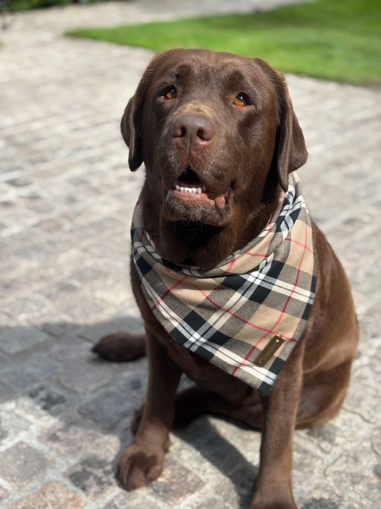 Bandana - Furberry