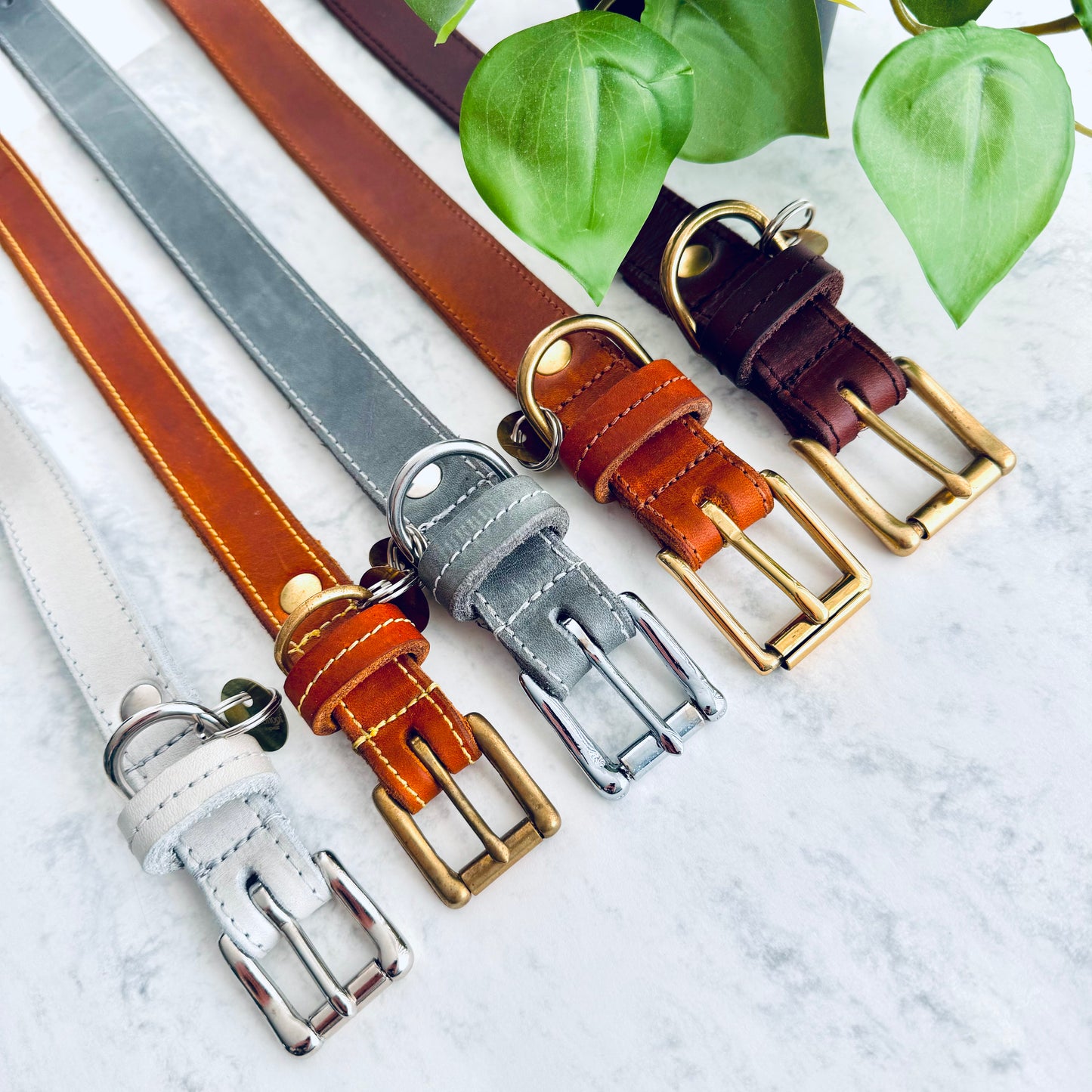 Halsband leder natural