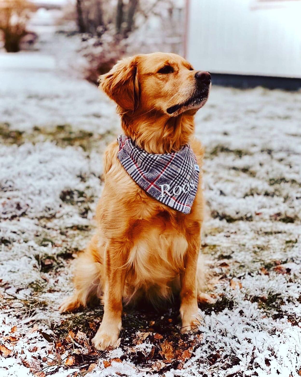 Bandana à carreaux beige
