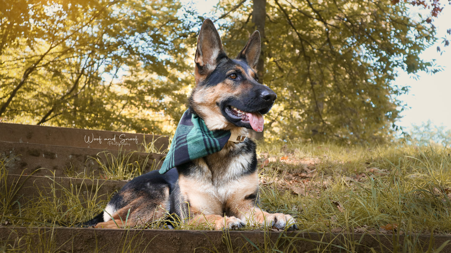 Bandana - Lumberjack green