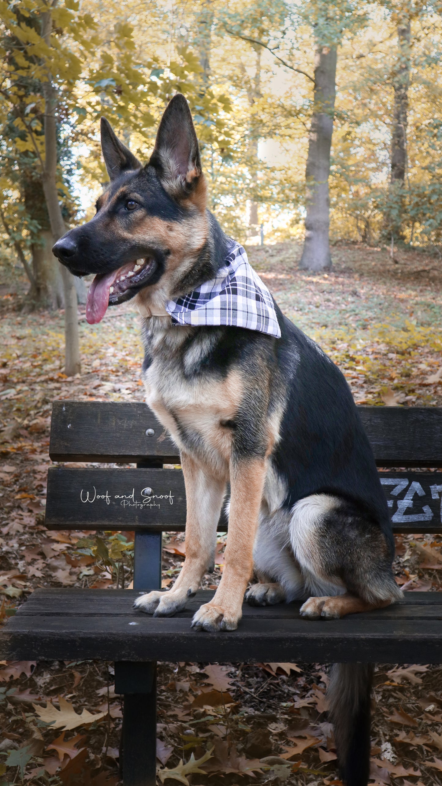 Bandana - classic grey