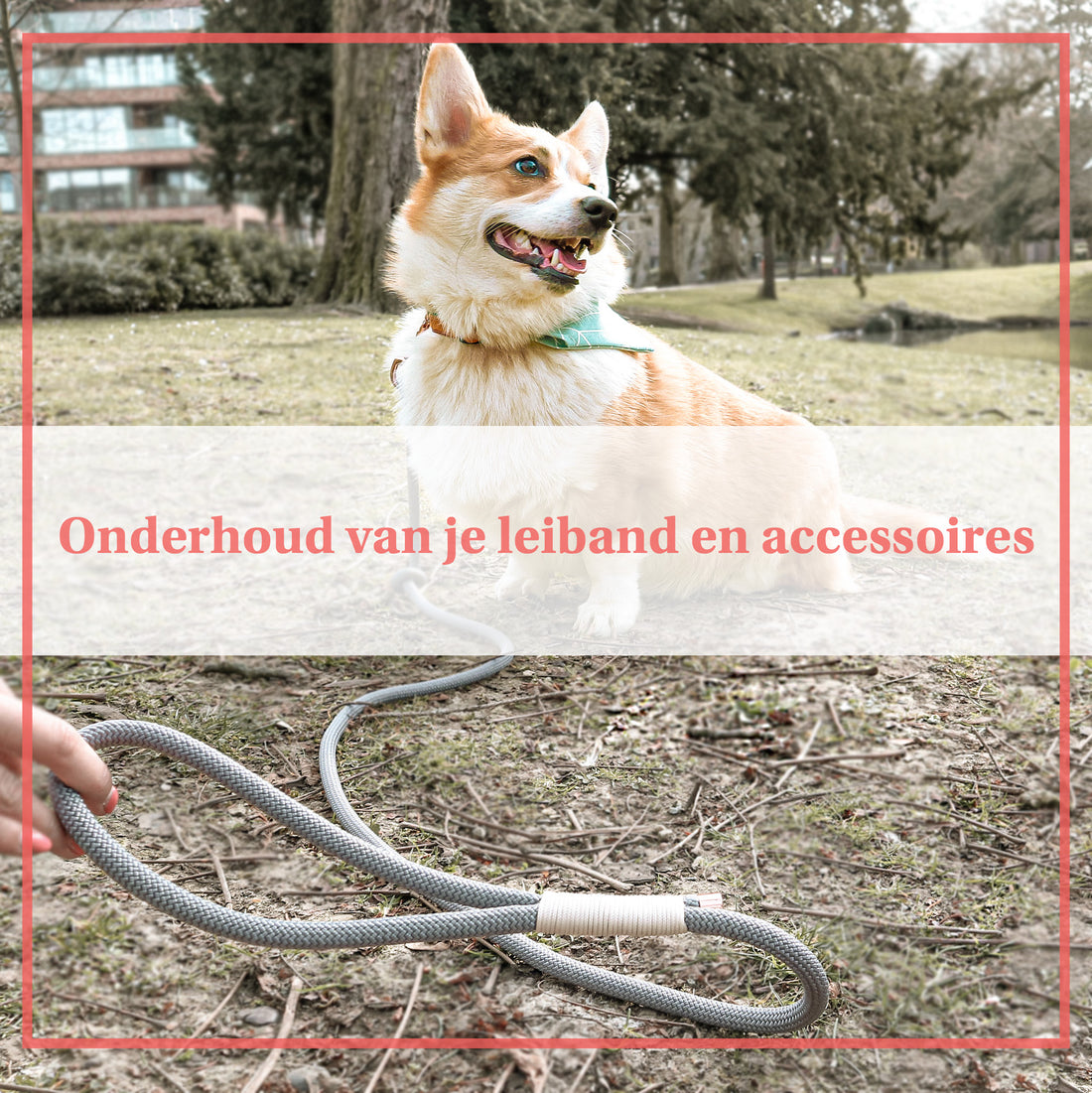 Onderhoud van je leiband en bandana’s