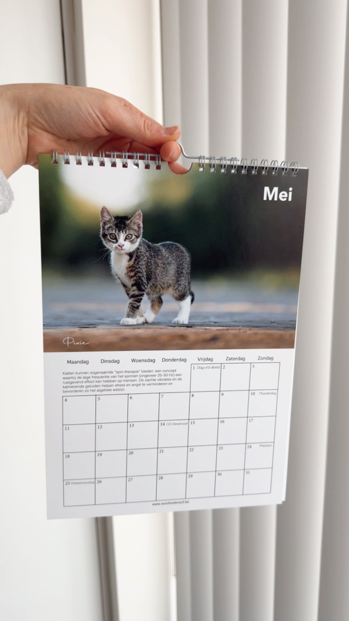 Honden fotokalender 2026