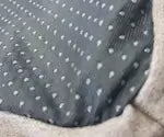 Hondenbed Paddy - Taupe