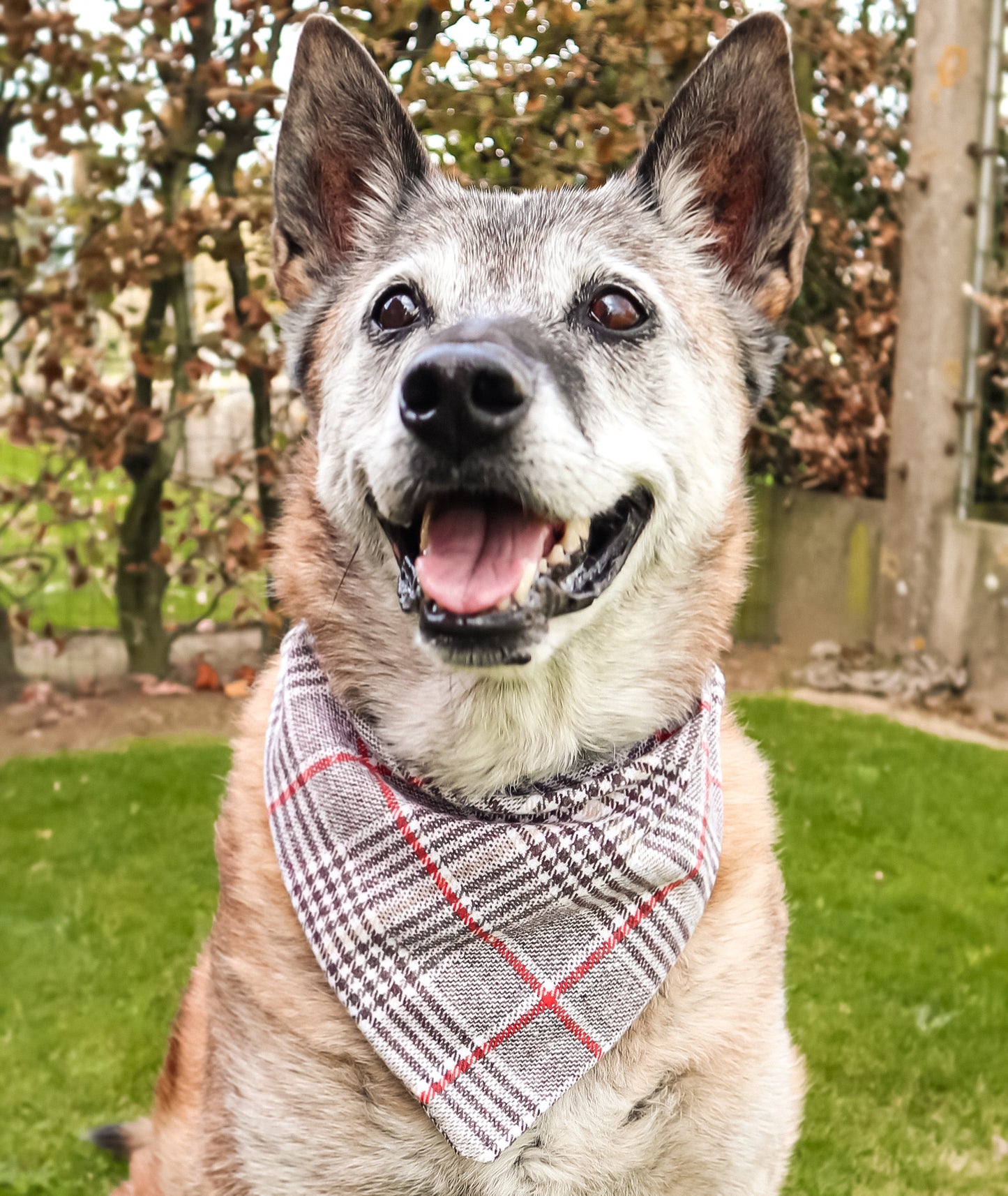 Bandana à carreaux beige