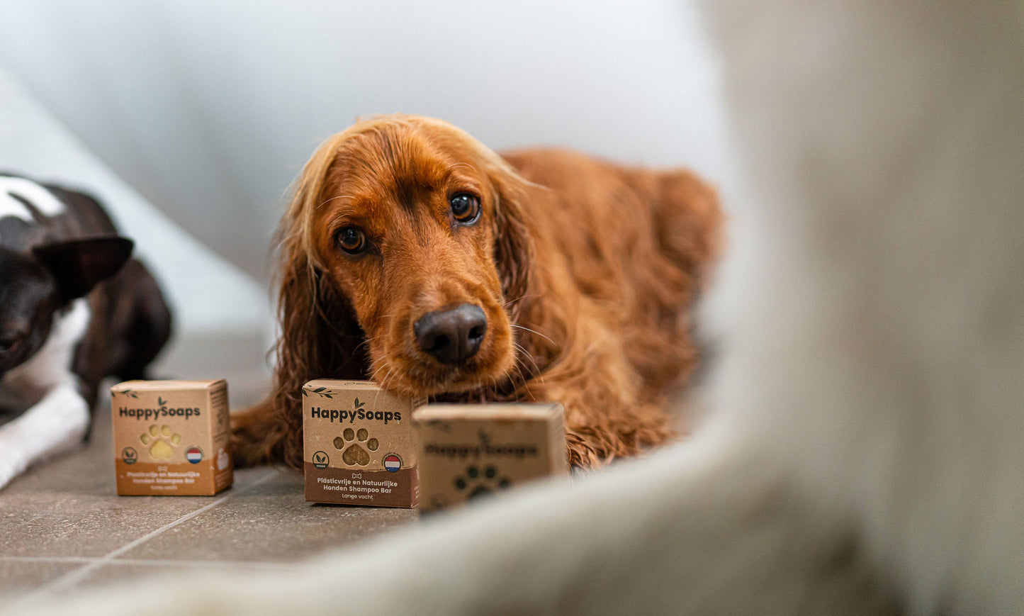 Honden shampoo bar - korte vacht