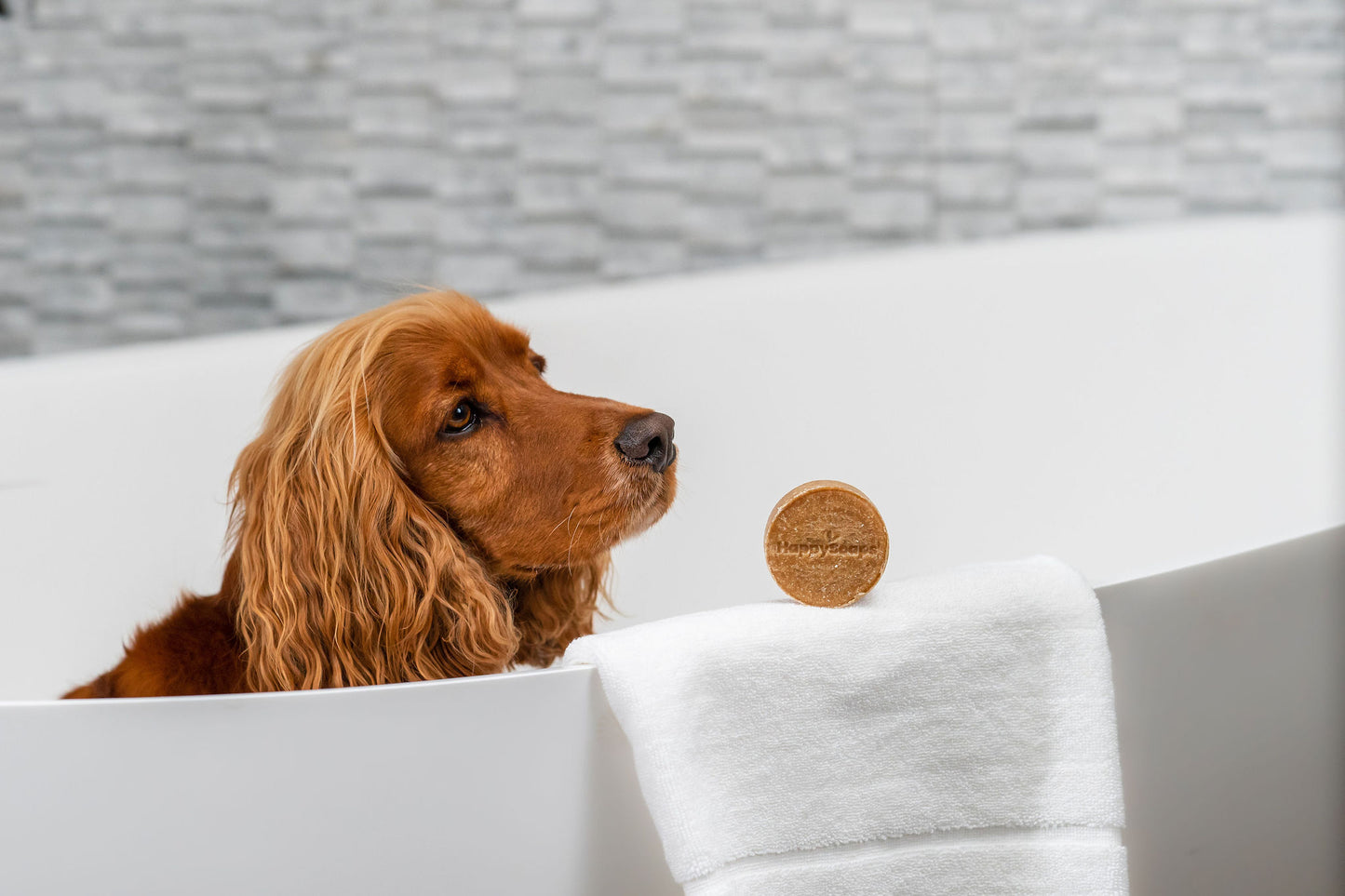 Honden shampoo bar - korte vacht