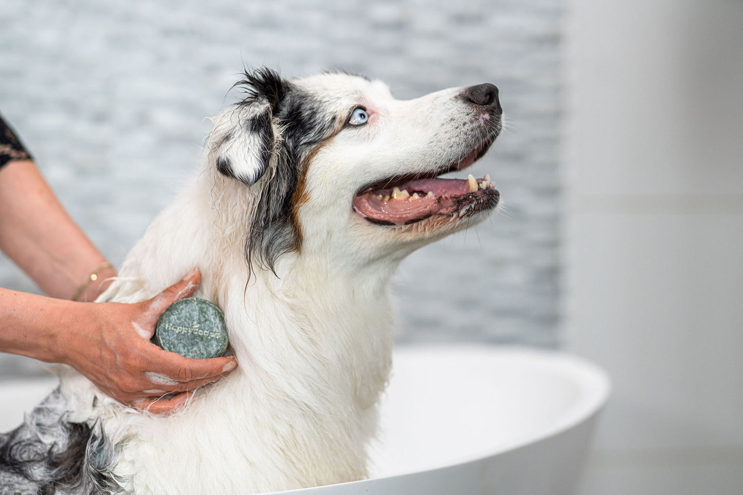 Honden shampoo bar - Lange vacht